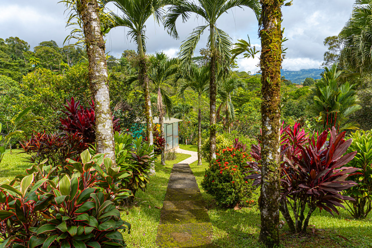 Serene Costa Rican Jungle Retreat with Waterfalls & Wildlife