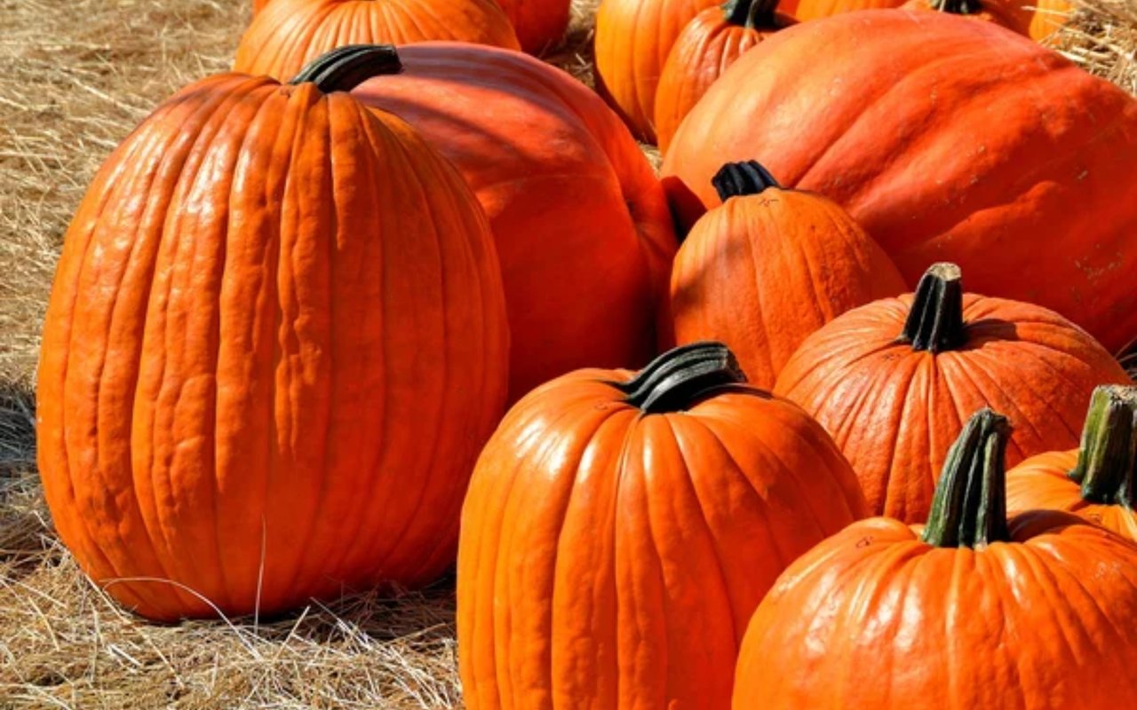 Incline Village Fall Events