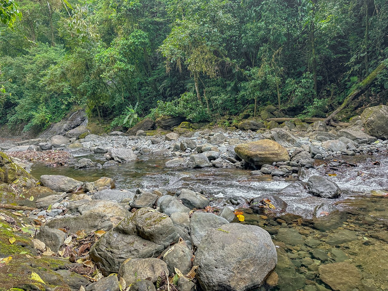 A Huge Rainforest, River & Waterfall Property With TWO Mountain & Jungle-View Luxury Homes on a Massive 4.93 Acre Lot – PLUS an Additional Plantel ready for Development