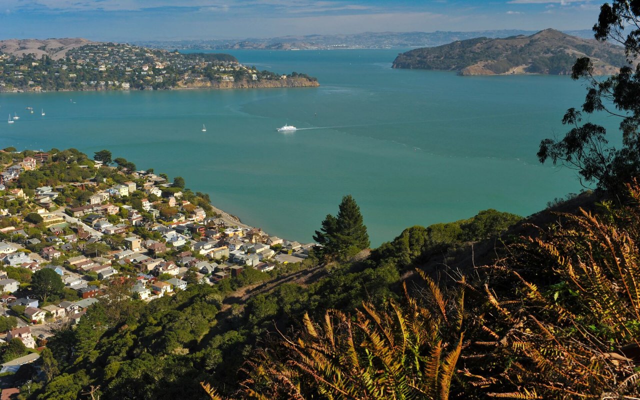 Why Price Per Square Foot Only Tells Part of the Story in Belvedere
