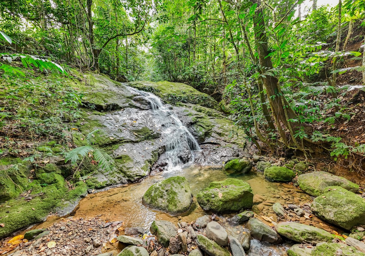 Self-Sustaining Mountain Estate for Sale in Costa Rica – 7.63 Acres with Waterfall, River & Multiple Homesites
