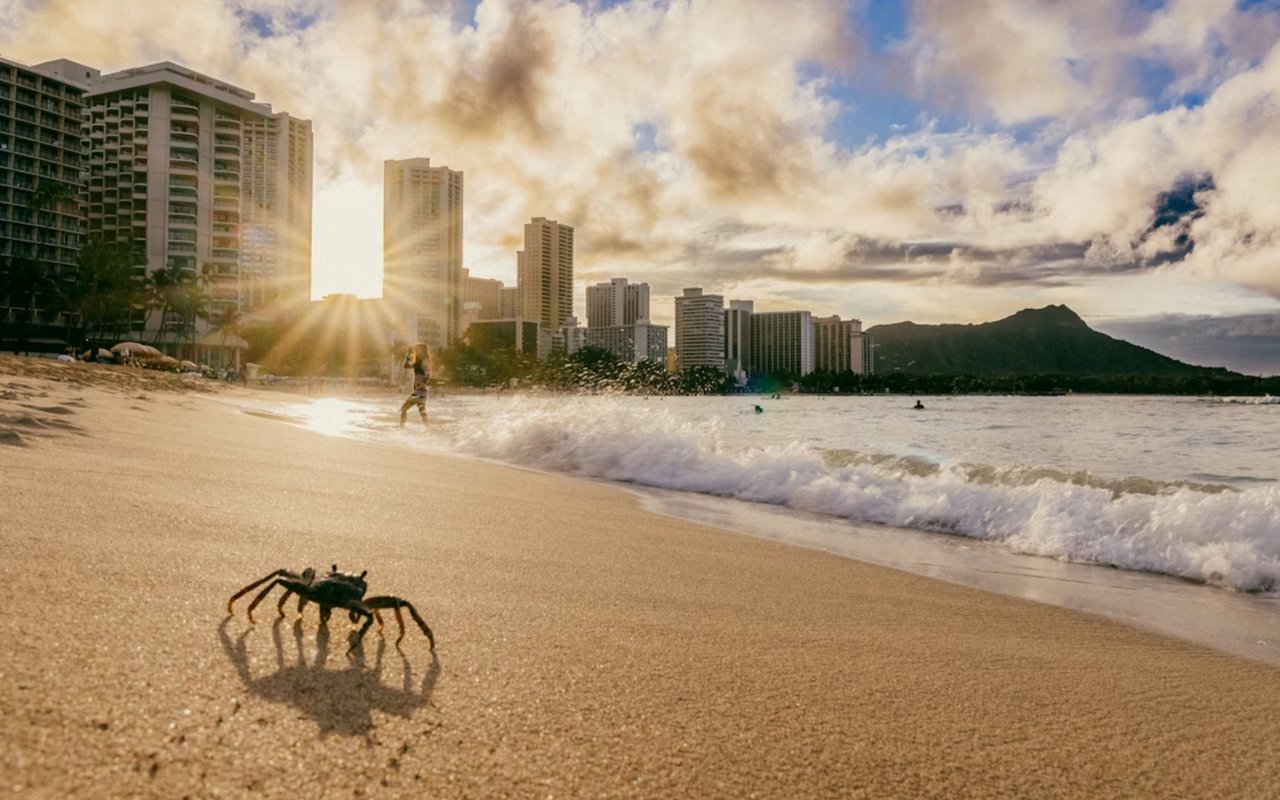 Beaches in Honolulu cover