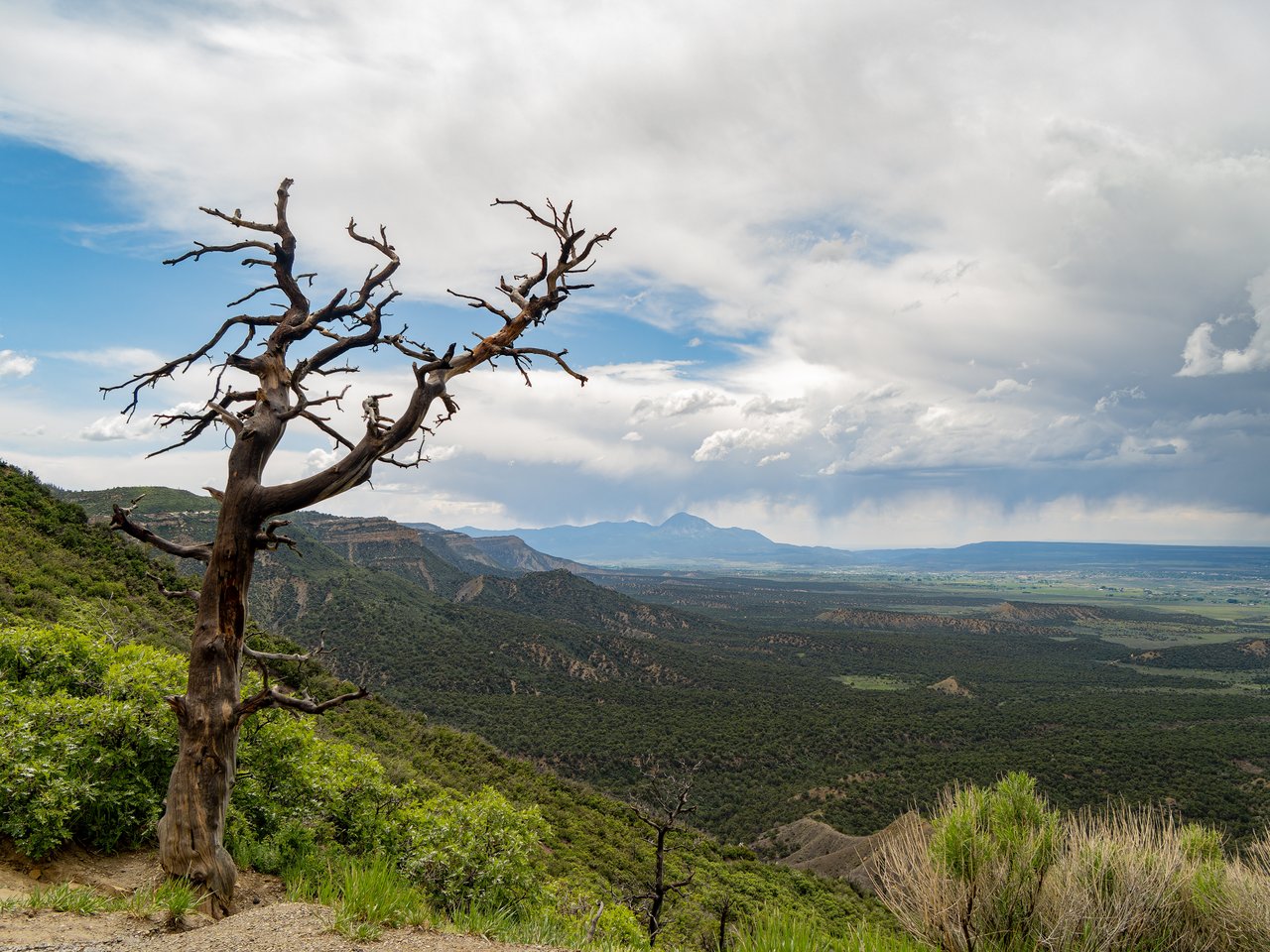 Montezuma County Real Estate
