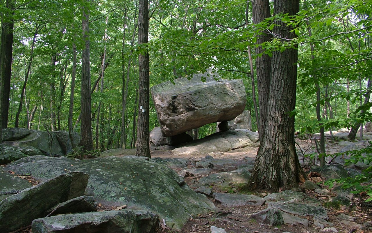 Exploring the Best Parks in Morris County