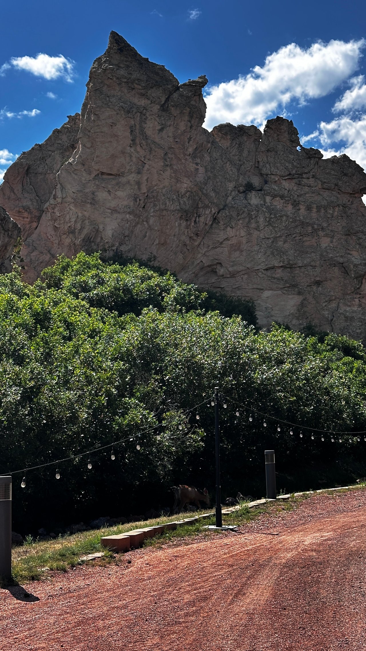 Western Spirit Meets Modern Dreams: Monica Breckenridge Explores Flying W Ranch on American Dream TV