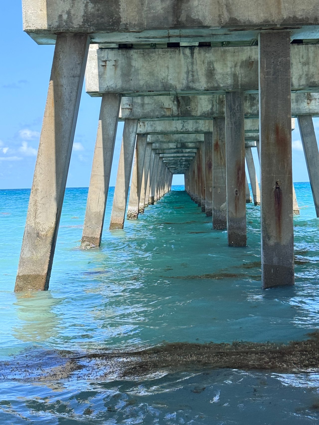 Juno Beach