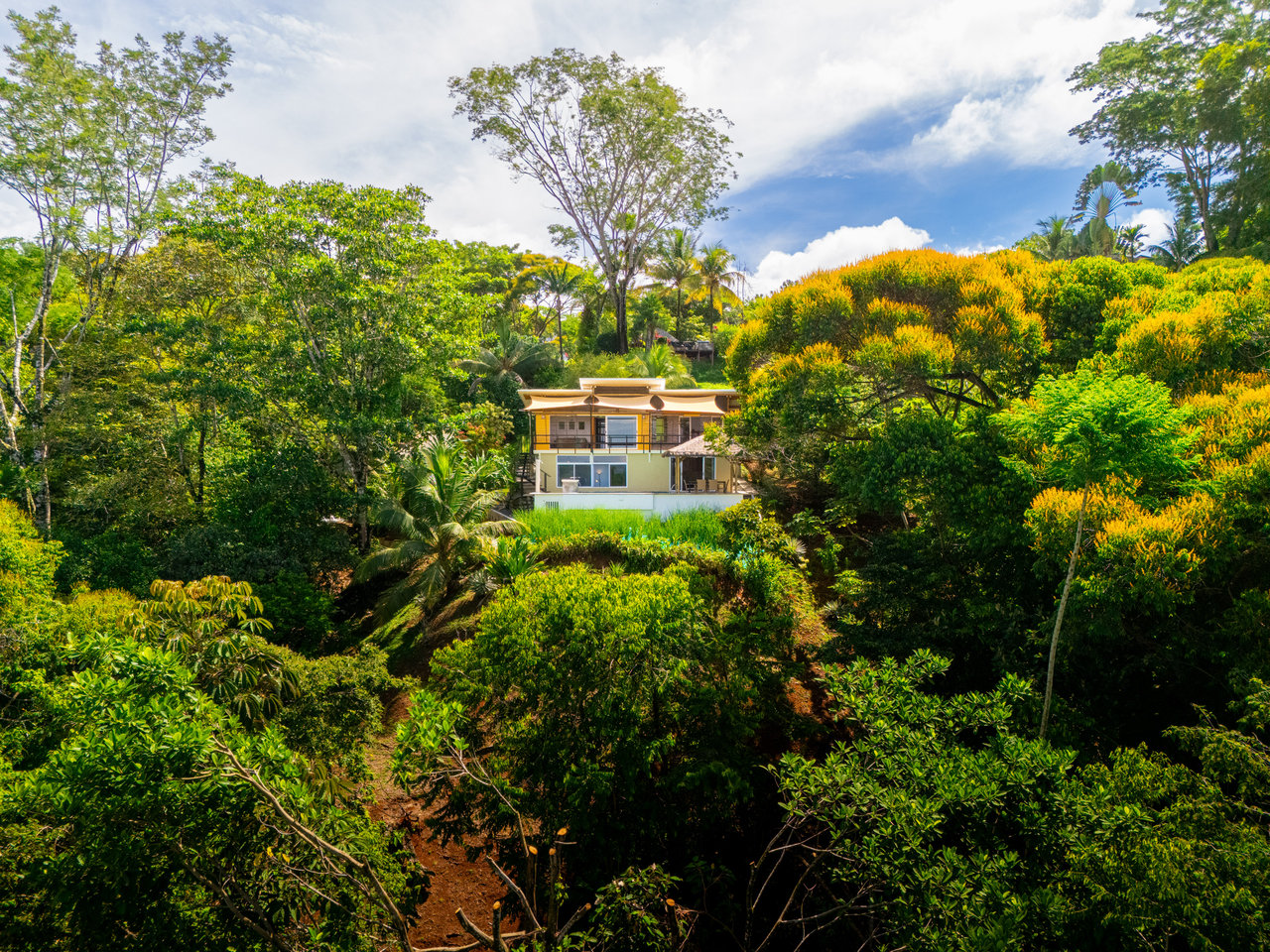 Casa Chiquita - Ocean View Retreat in the Heart of Ojochal – 3 Bed, 3 Bath with Pool, Fruit Trees & Prime Location