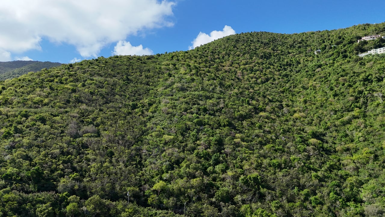 Marguerite Estate