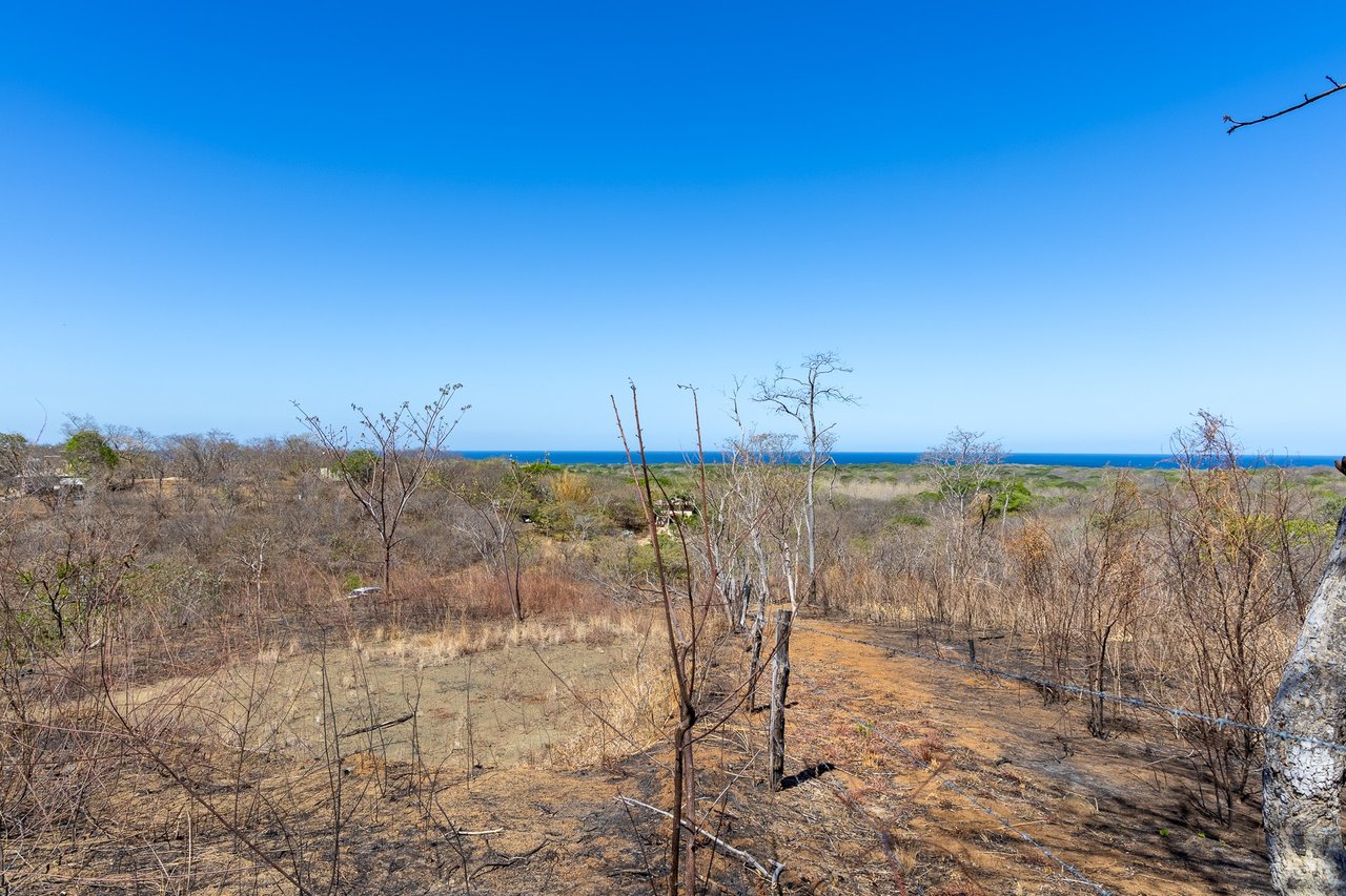 Finca Los Pargos Lot – Oceanview lot with water!, Playa Negra, Guanacaste