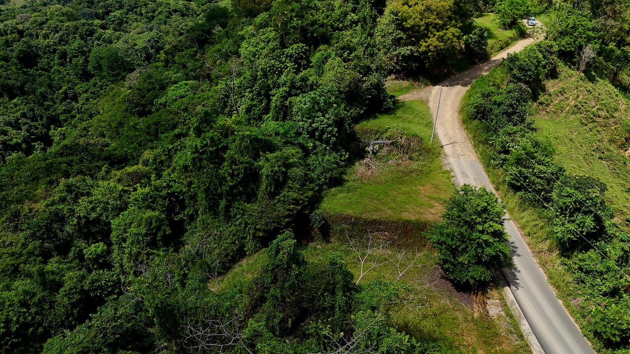 Ocean-View Lot in Chontales – 9,057 m² – Osa, Puntarenas