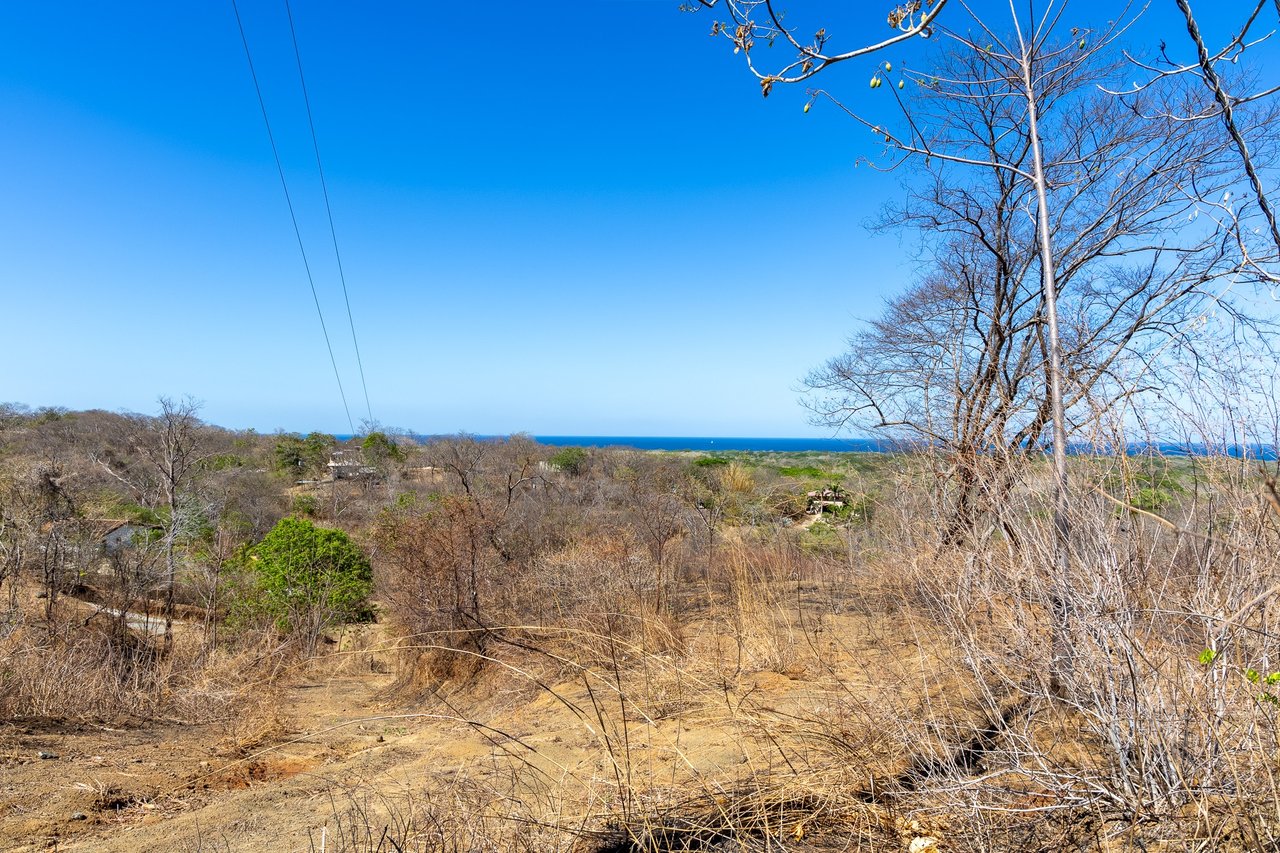 Finca Los Pargos Lot – Oceanview lot with water!, Playa Negra, Guanacaste