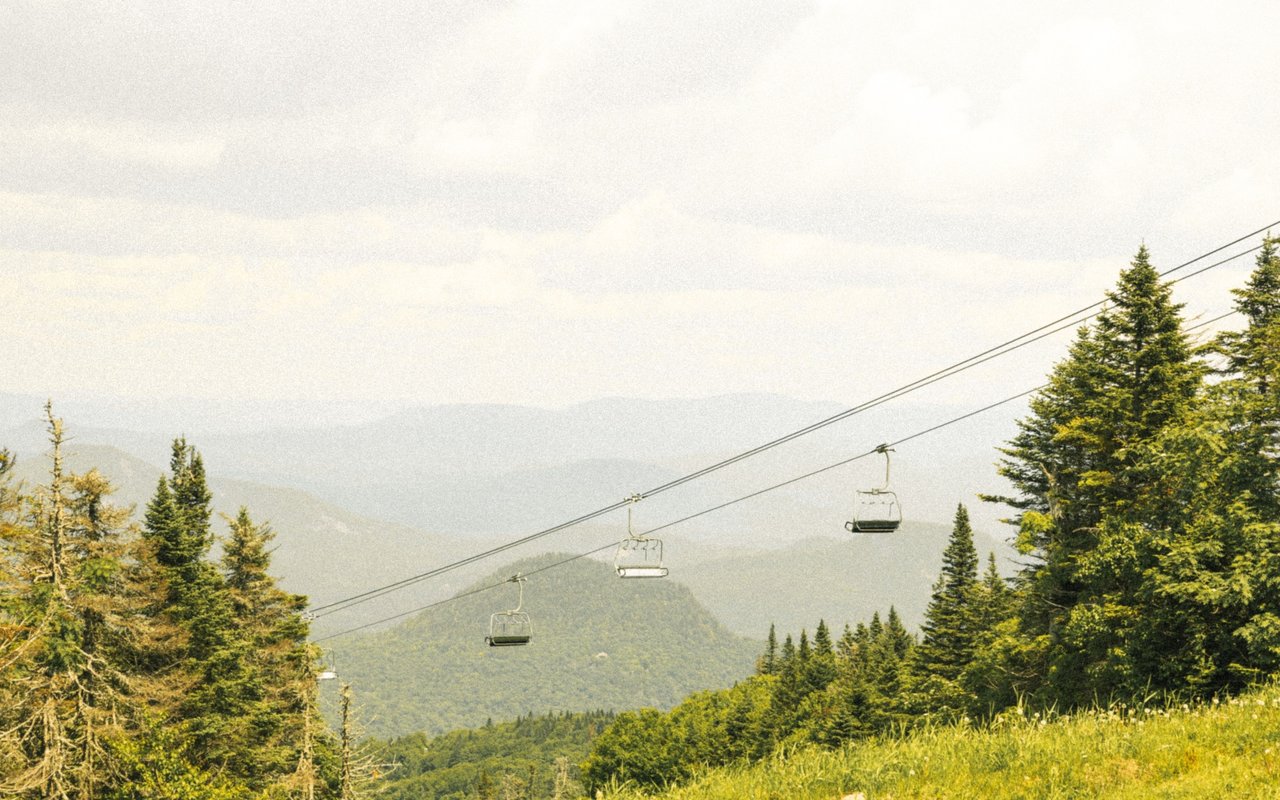 Summer mountain ridges and evergreen forest crossed by empty ski-lift chairs.