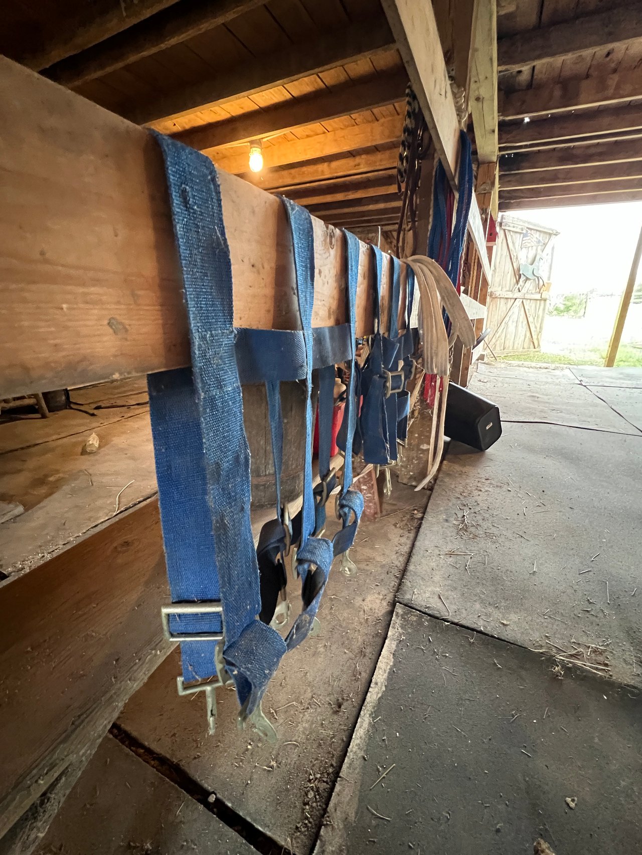 Nashville Equestrian Property