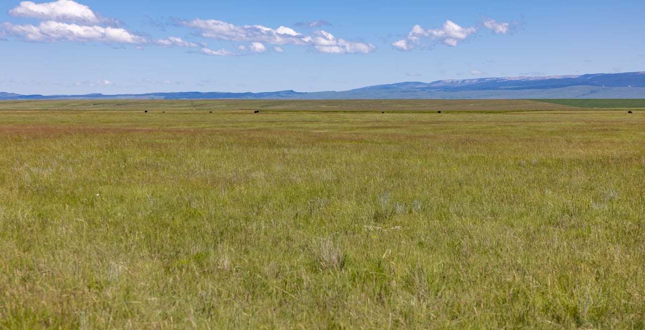 Hauck Coulee Ranch