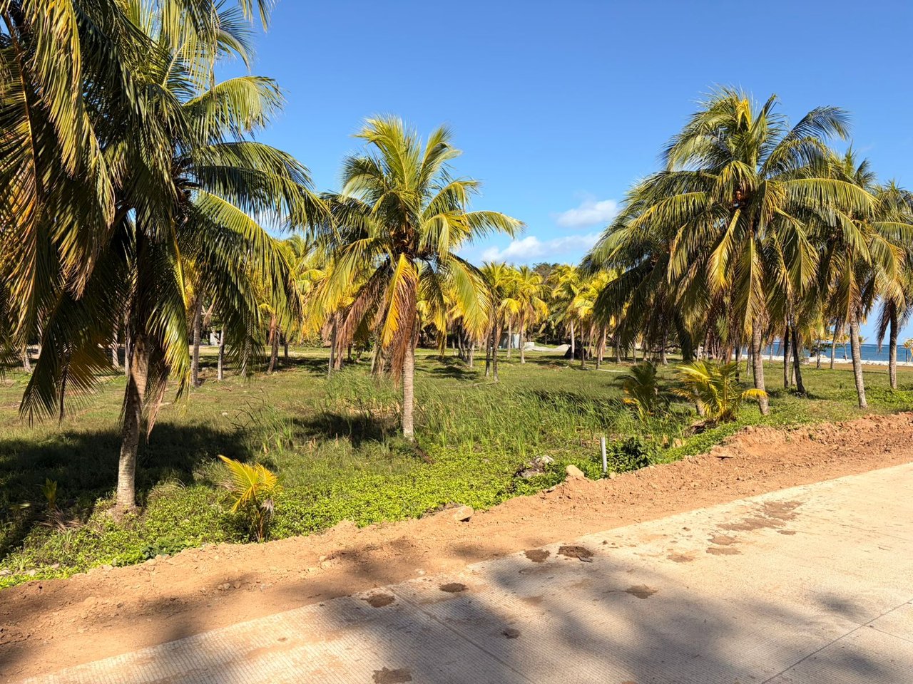 Beachfront Lot Diamond Beach