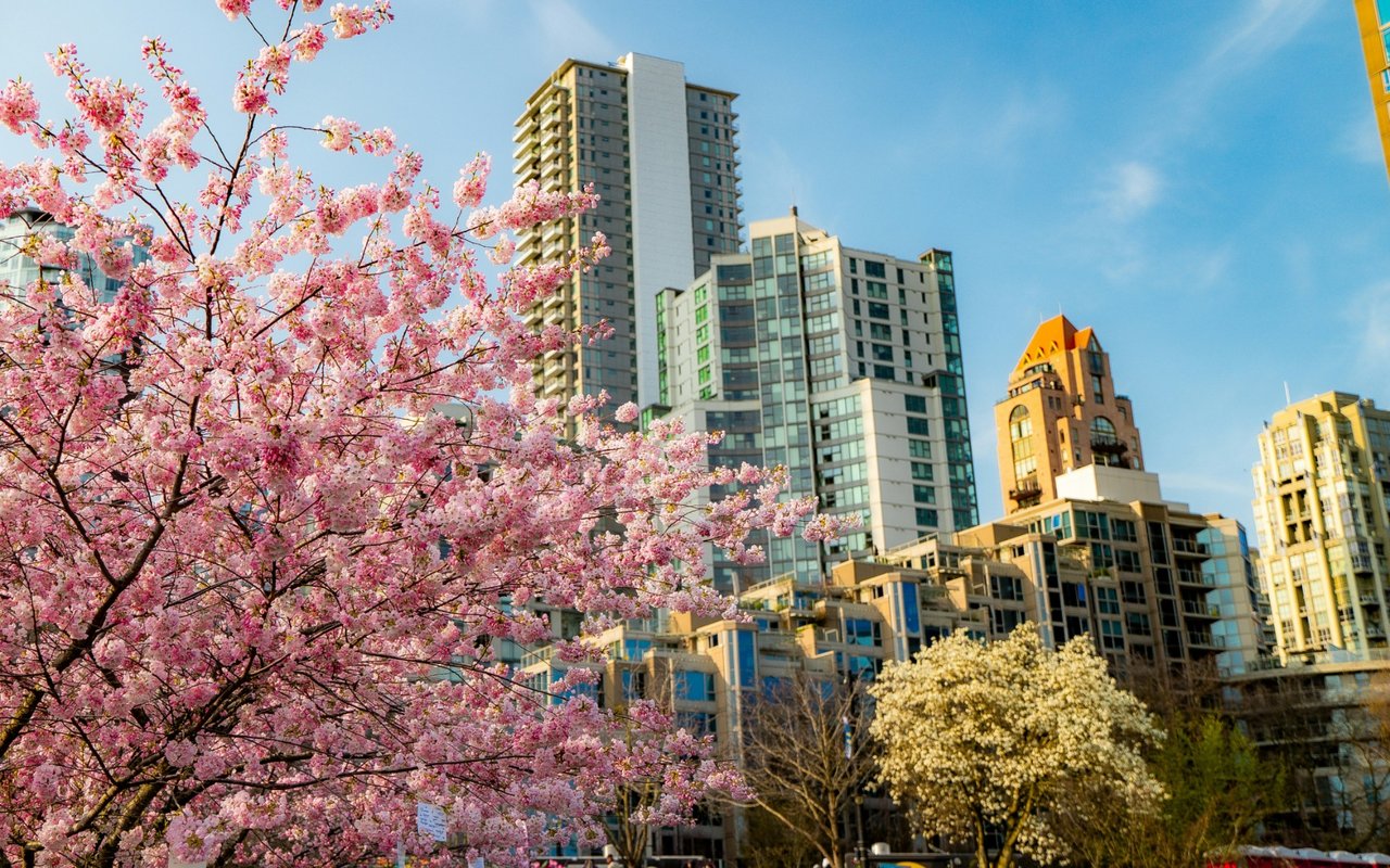 the vancouver rennie review | April 2026