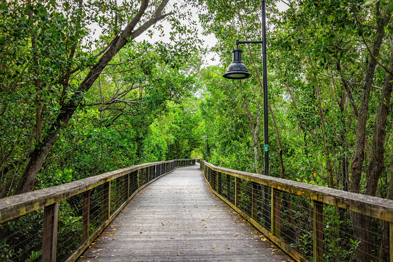 The Gordon River Greenway's Best Entrance Is the One Most People Skip