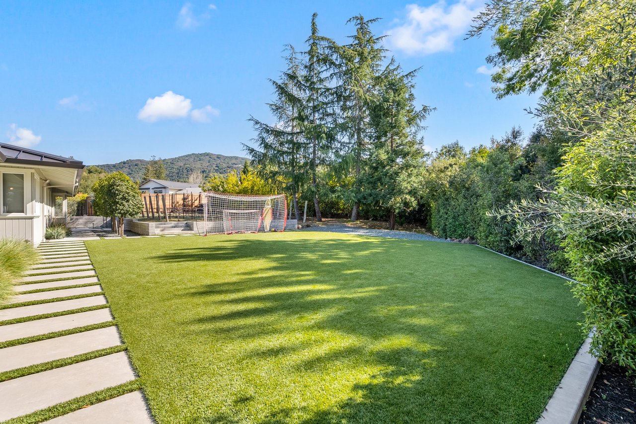 114 Nina CT