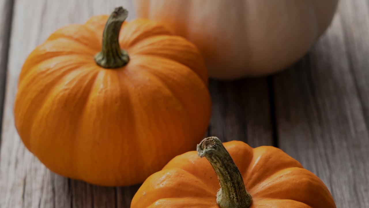 Orange pumpkins on weathered wood beside a pale pumpkin.
