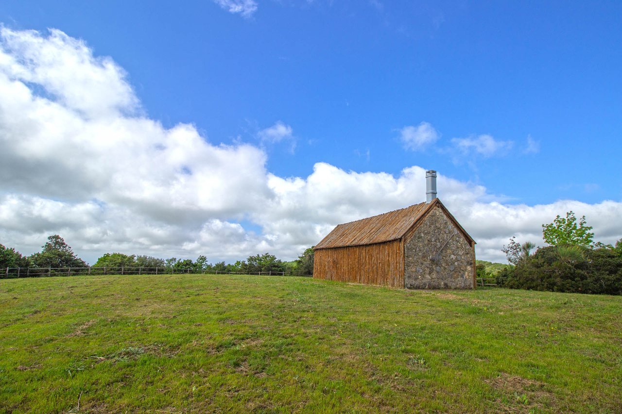 Hunting Reserve - Capalbio