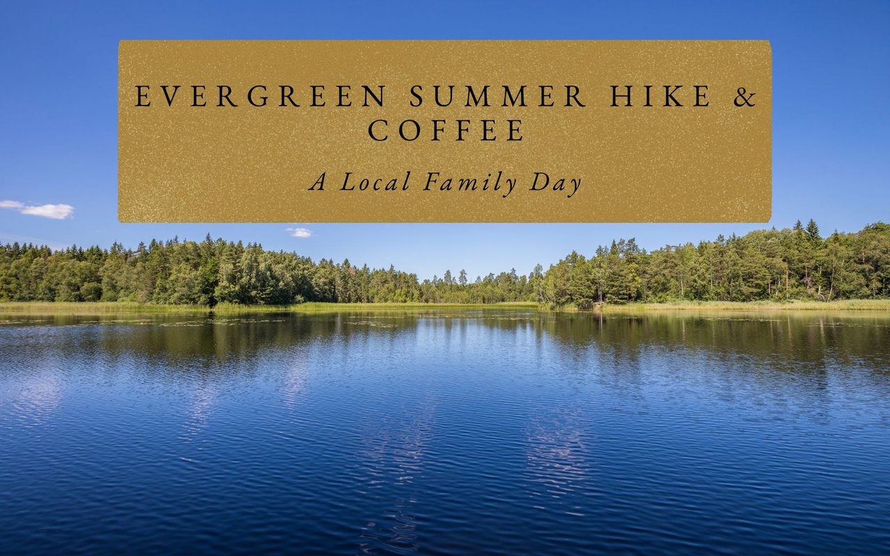 Pine forest loop at Castle-Rock Trail, Evergreen moderate hike with panoramic lake and foothill views.