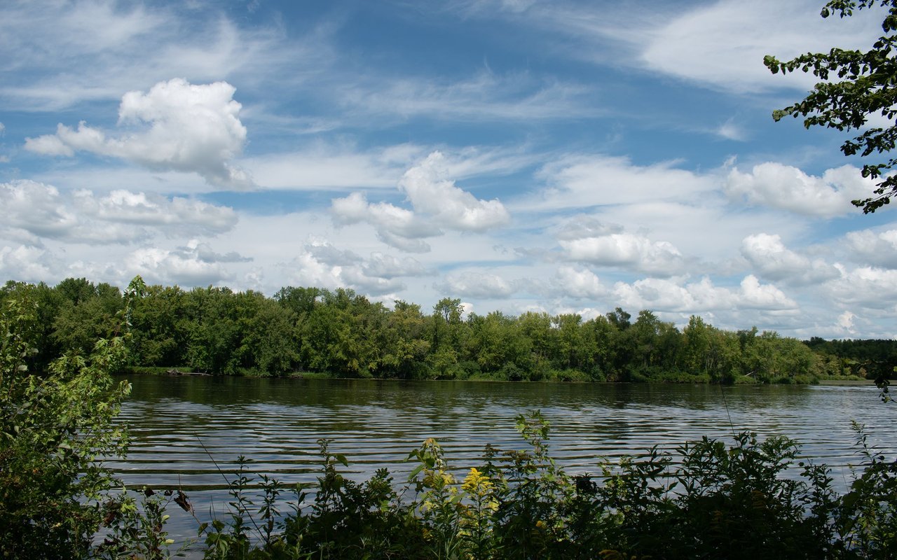 Otsego