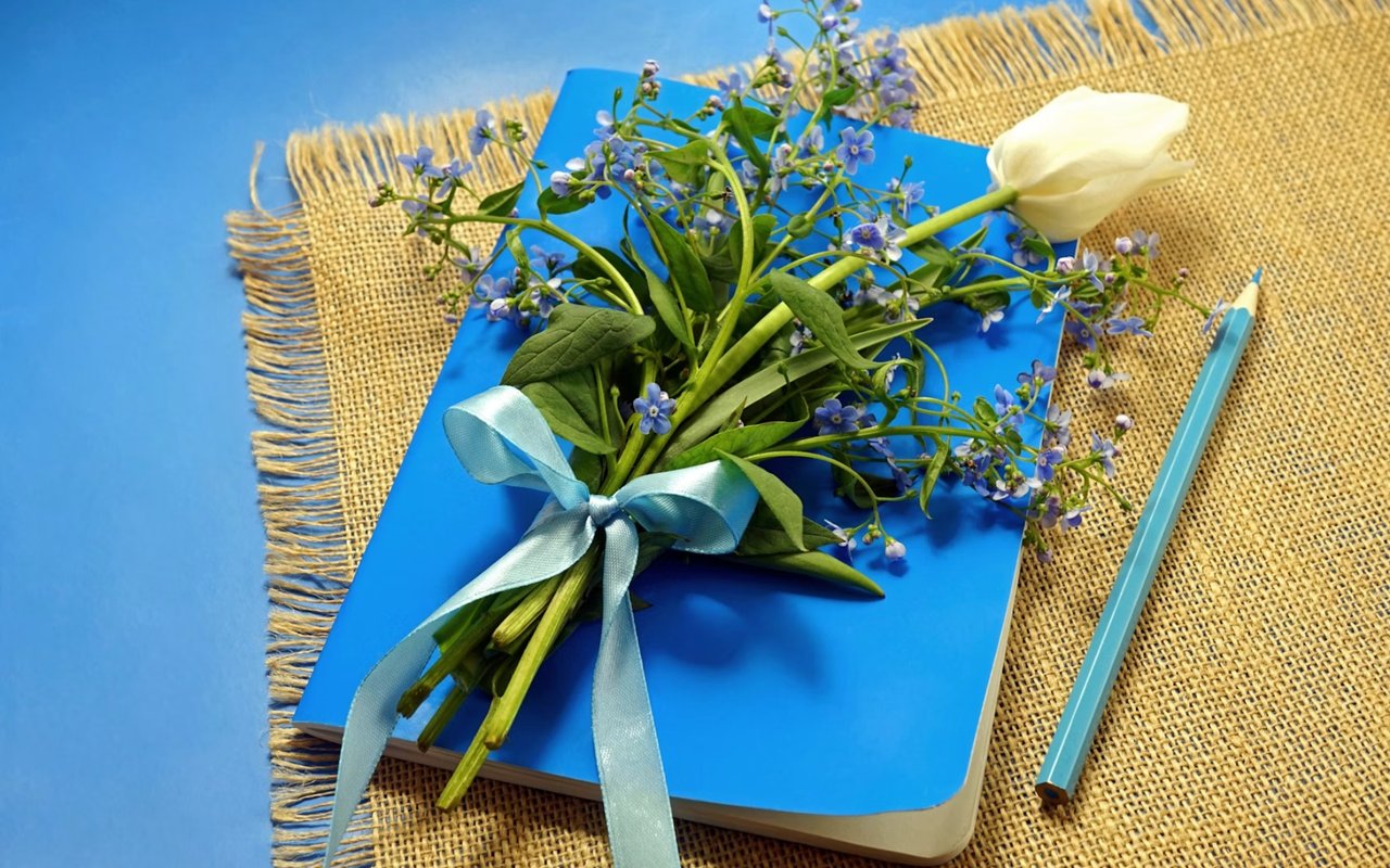 Aledo Holiday Gift Guide: Shop Local