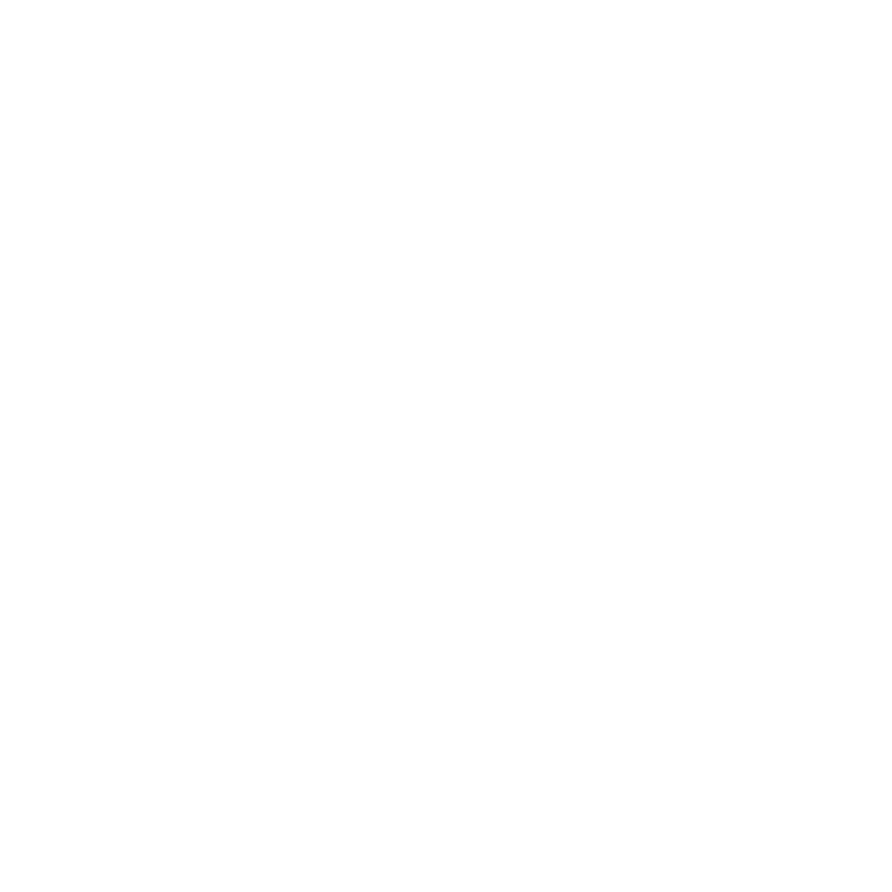 Light Logo