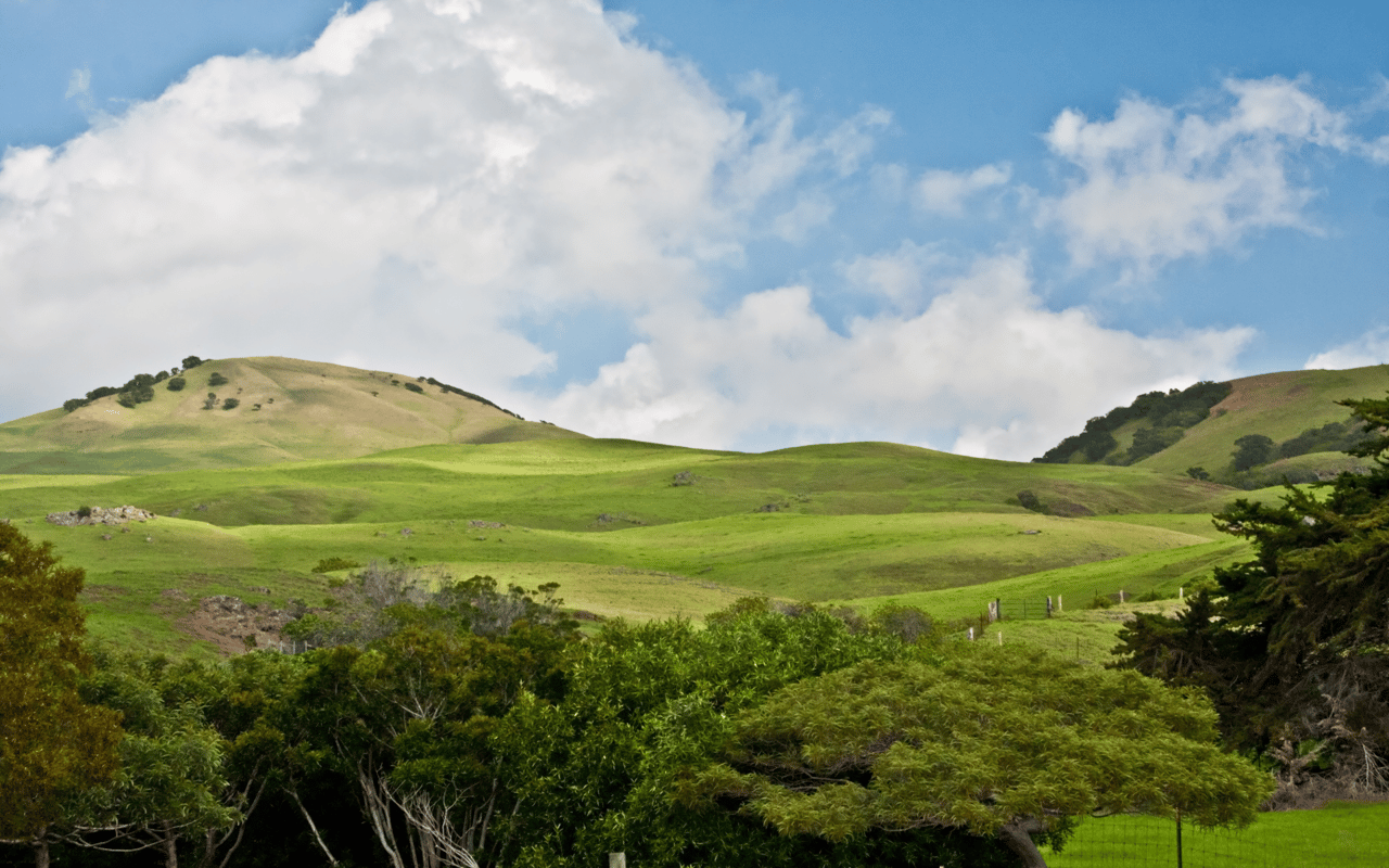 Kamuela
