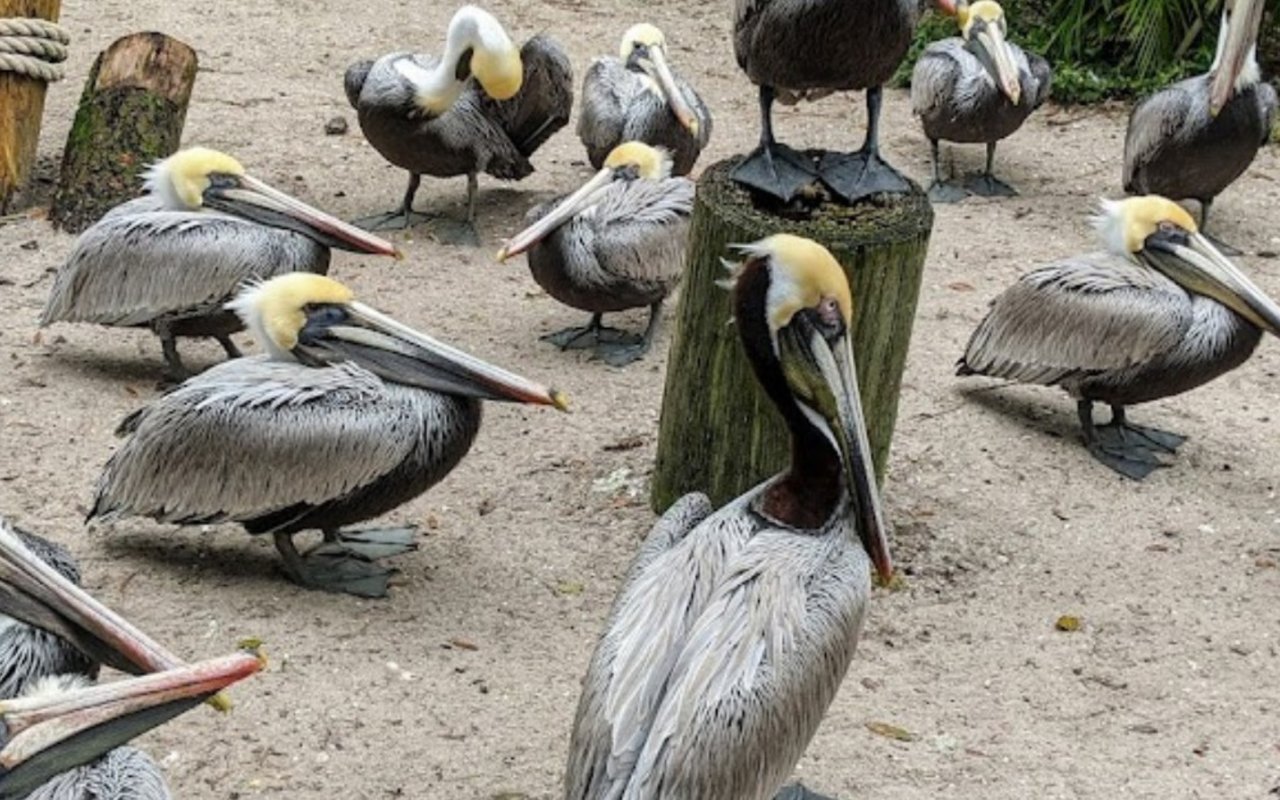 10 Fun Activities for Kids Near Punta Gorda