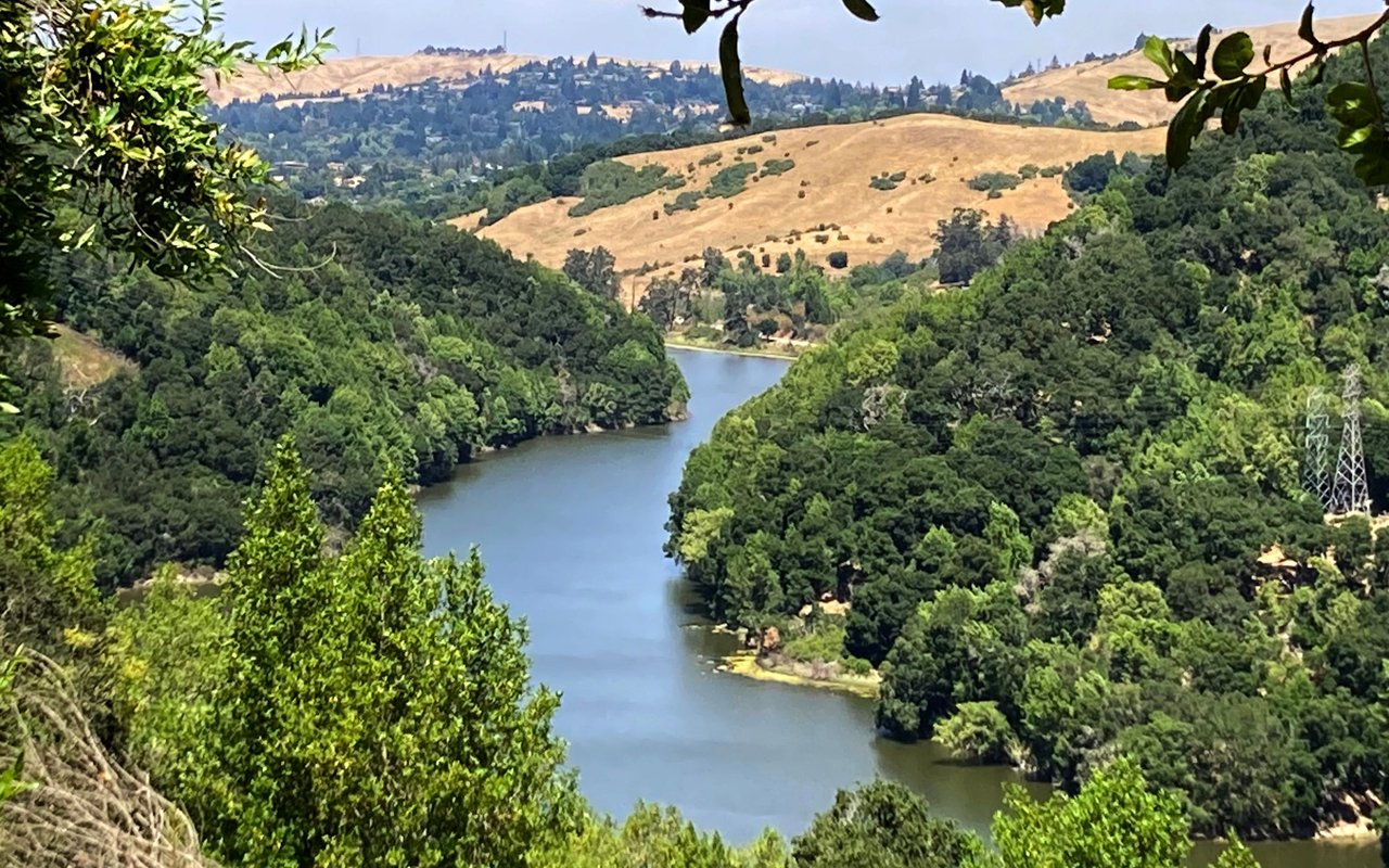 Moraga