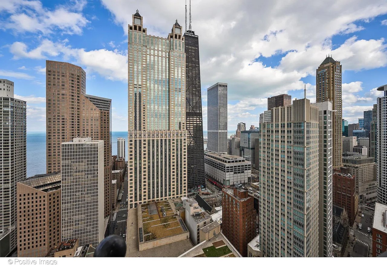 11 E Walton St APT 4102