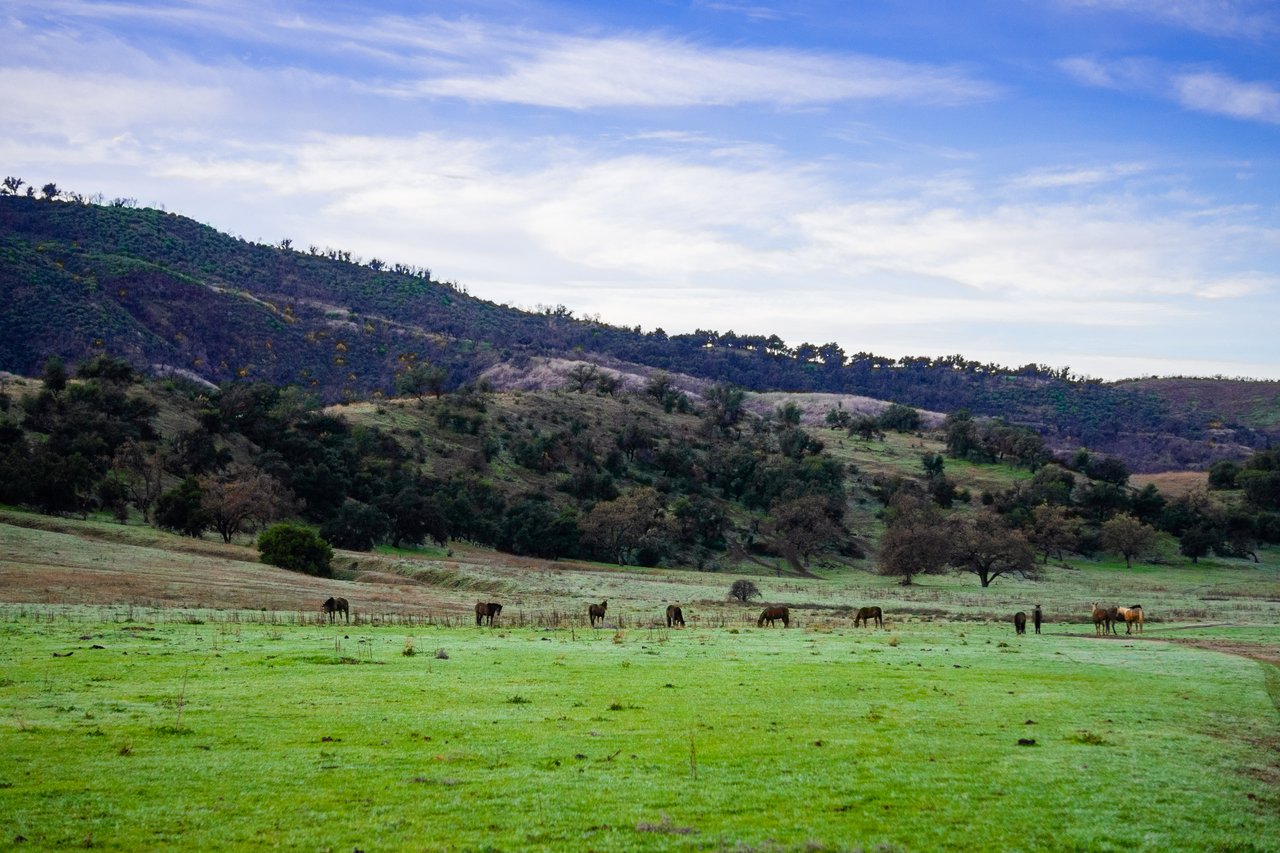 Lion Mountain Ranch 940+/- Acre Ojai Ranch 