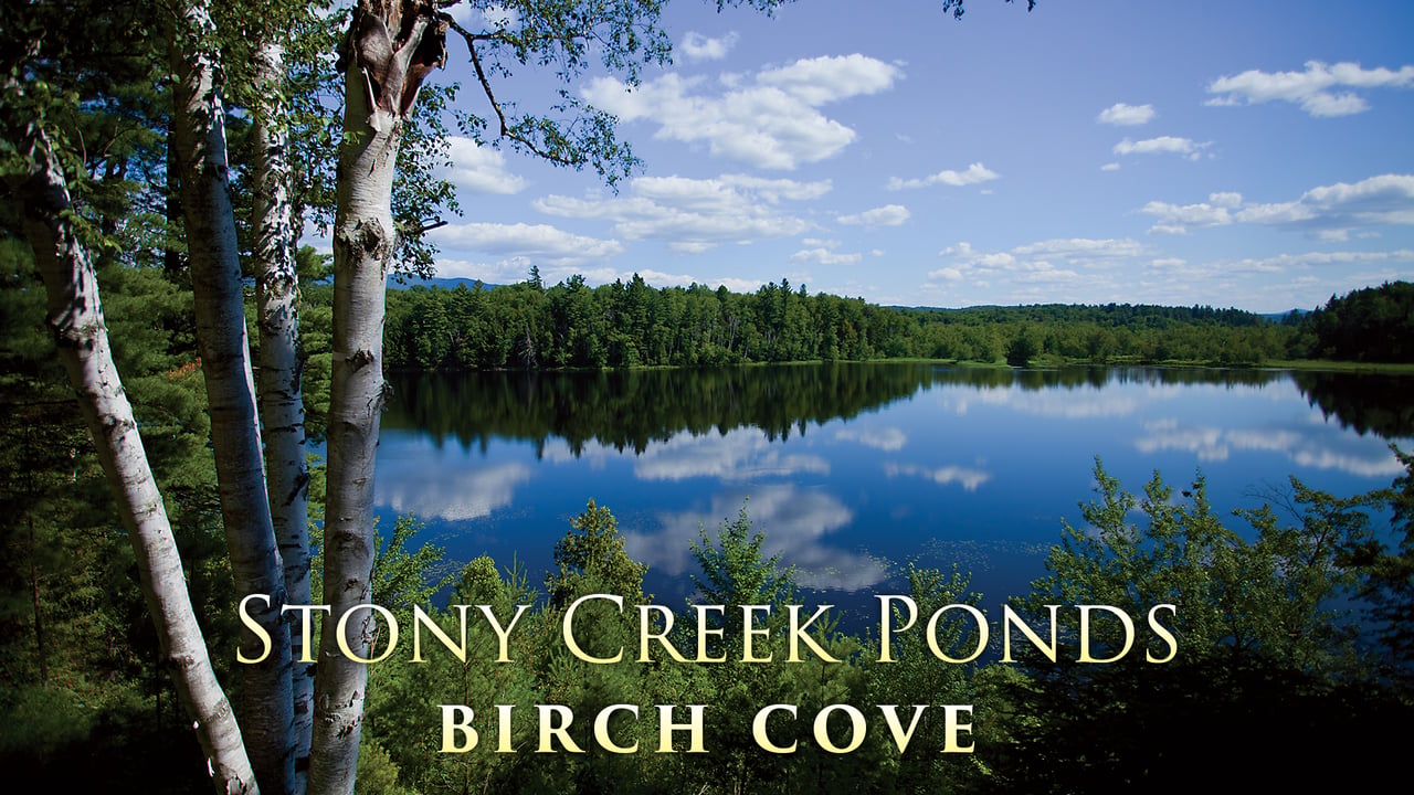 Stony Creek Ponds Tupper Lake (Legacy Video)