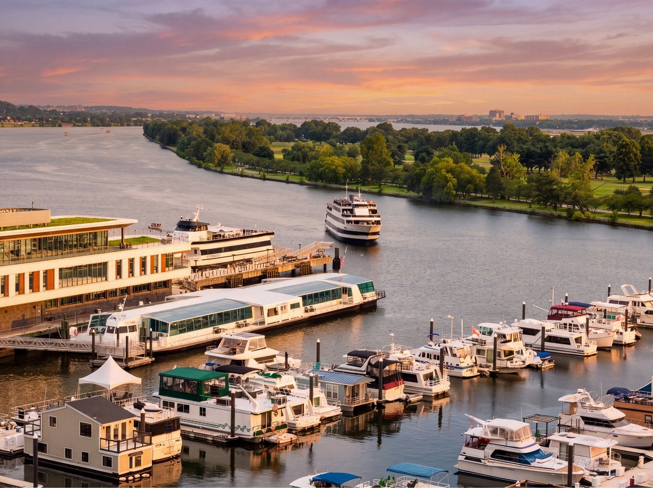 Amaris #901