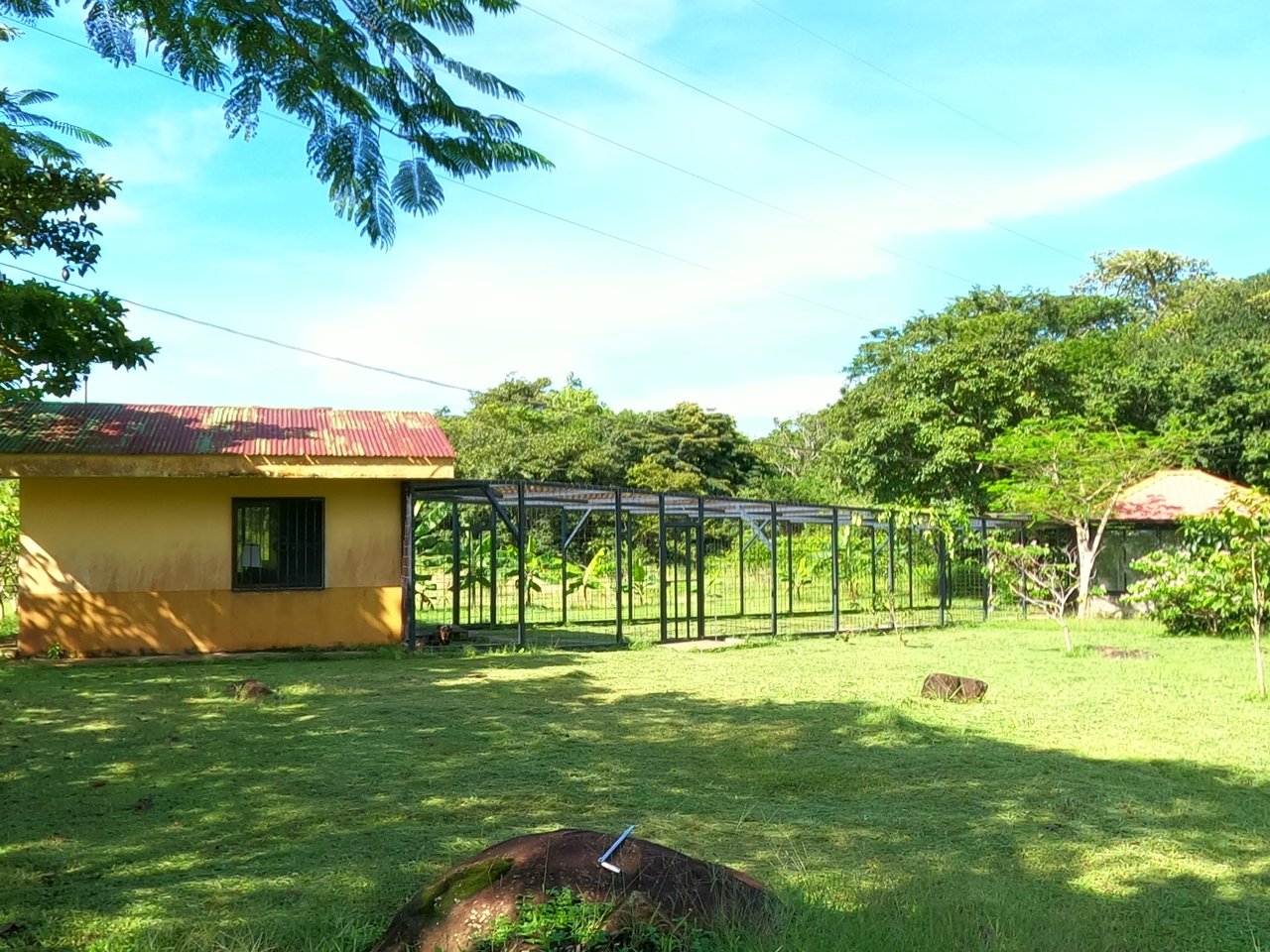 Serenity Ranch Avocado Farm | Countryside Agricultural Land For Sale in La Cruz