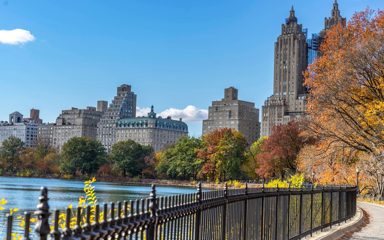 Central Park South