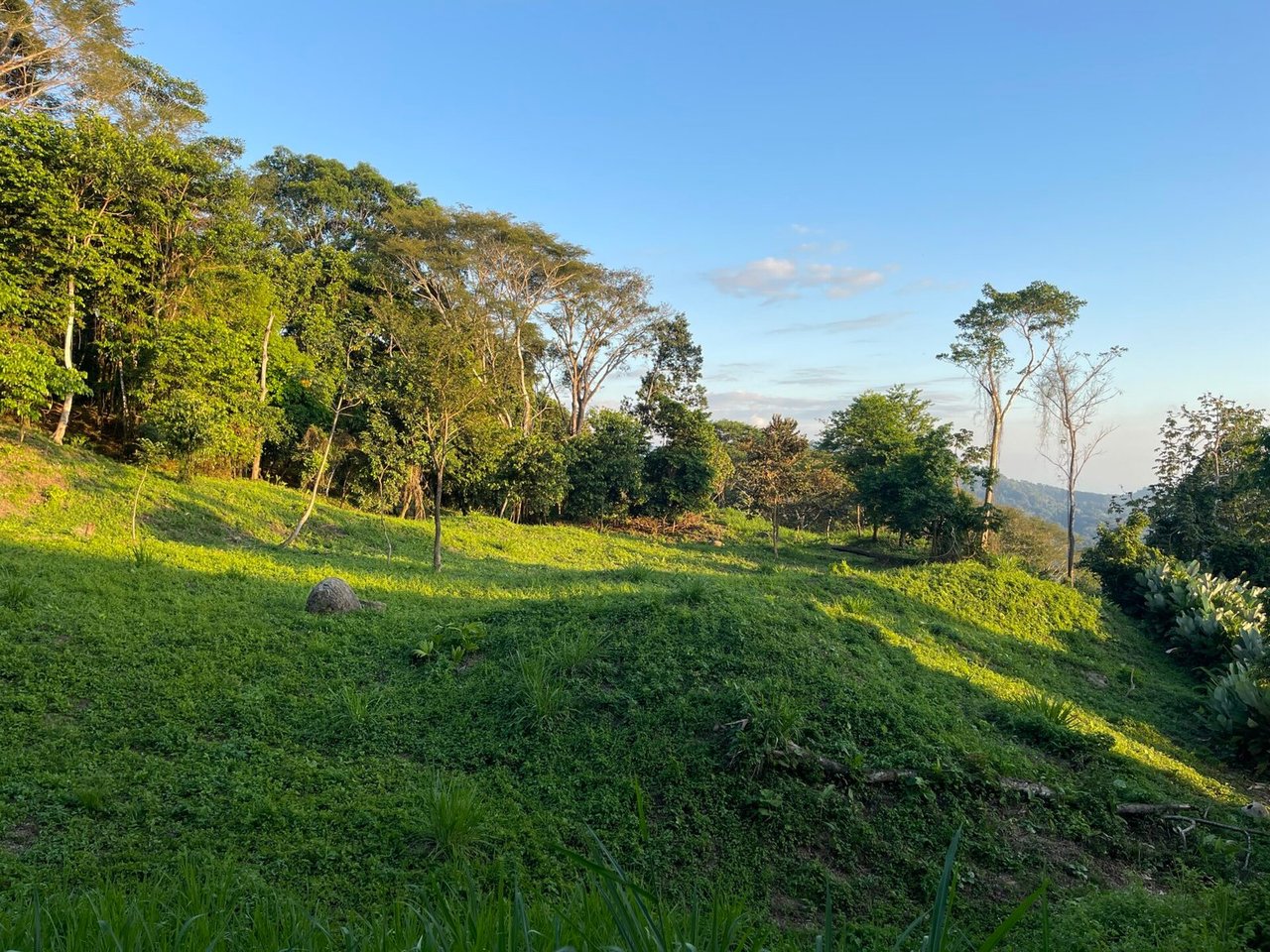 4.76 ACRES – Ocean View Property in Lagunas, Completely Flat And Usable, Commercial Or Residential, Ready To Build!!!