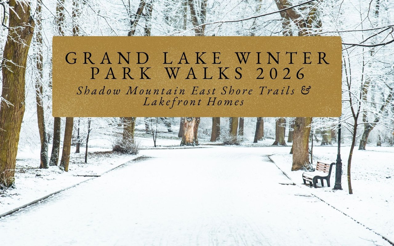 Luxury estate on spacious corner lot with circular driveway, mature trees, and dramatic entryway lighting