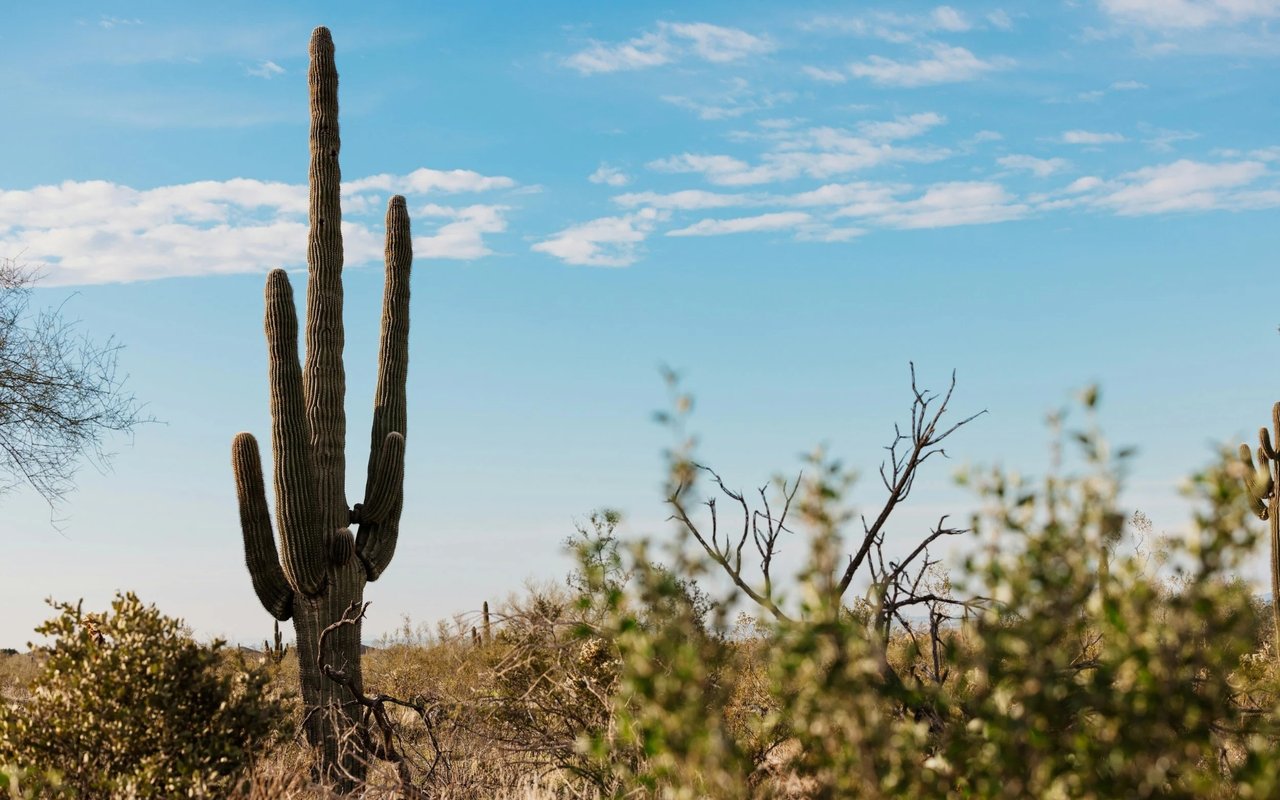 Gilbert, Arizona vs. Scottsdale: A Comparative Look at Two Distinct Real Estate Markets