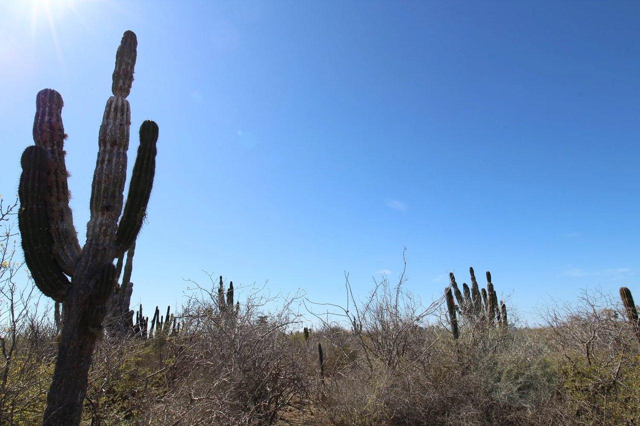 Ranchito Ellias Calles