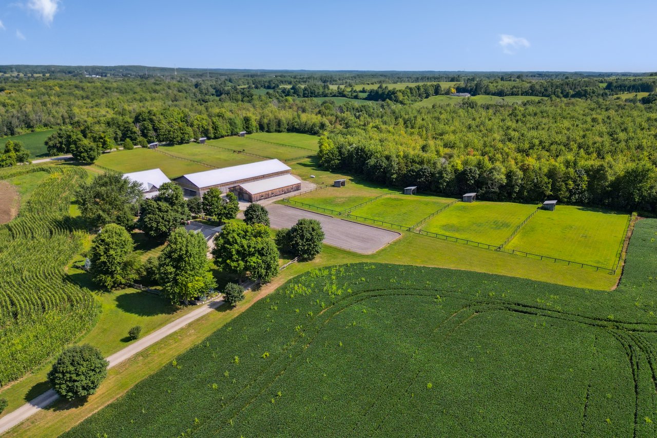 Extraordinary Equestrian Estate