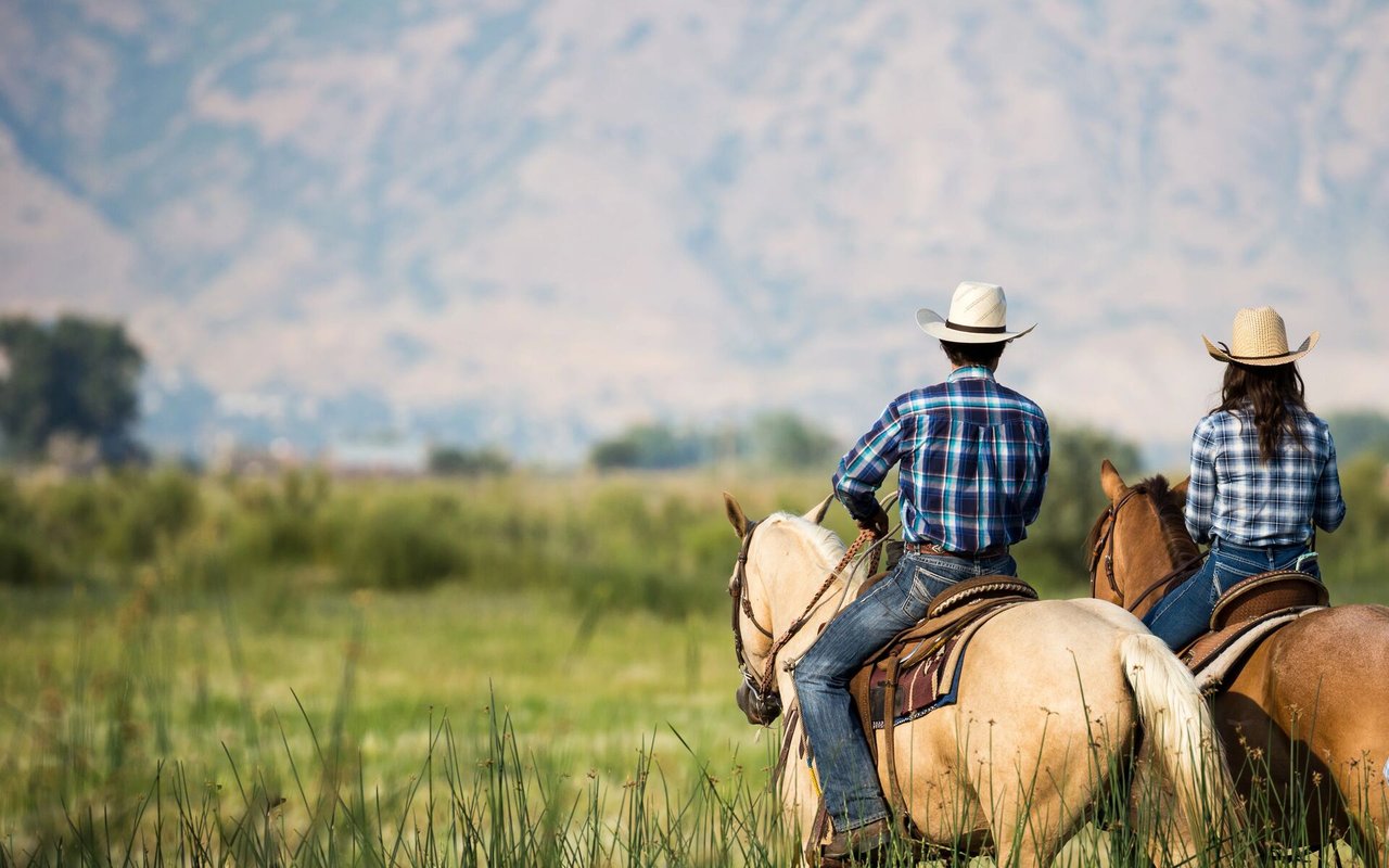 Are You Looking for a Western Colorado Ranch to Live the Western Lifestyle?