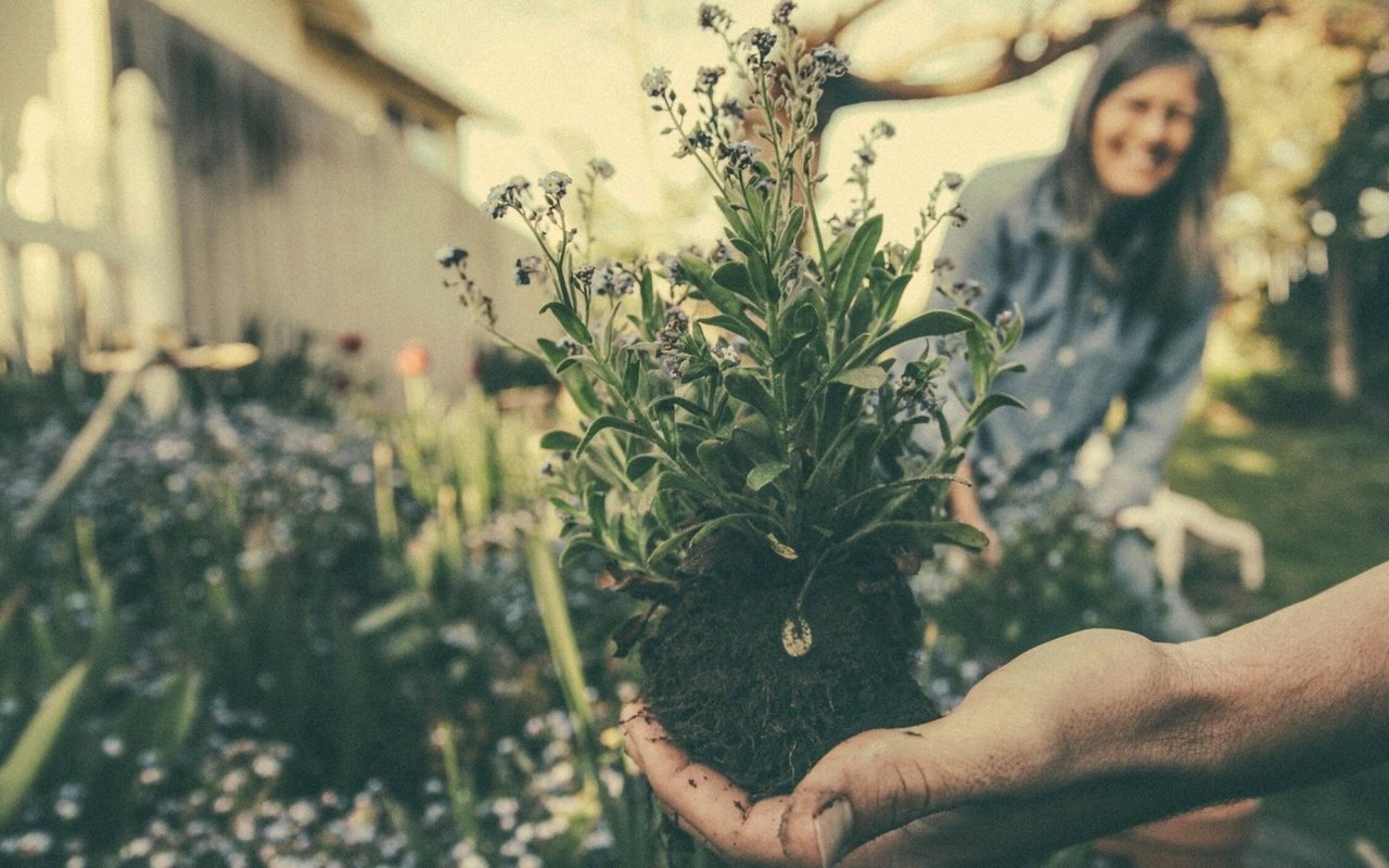 6 Easy Ways to Make Your Home Eco-Friendly