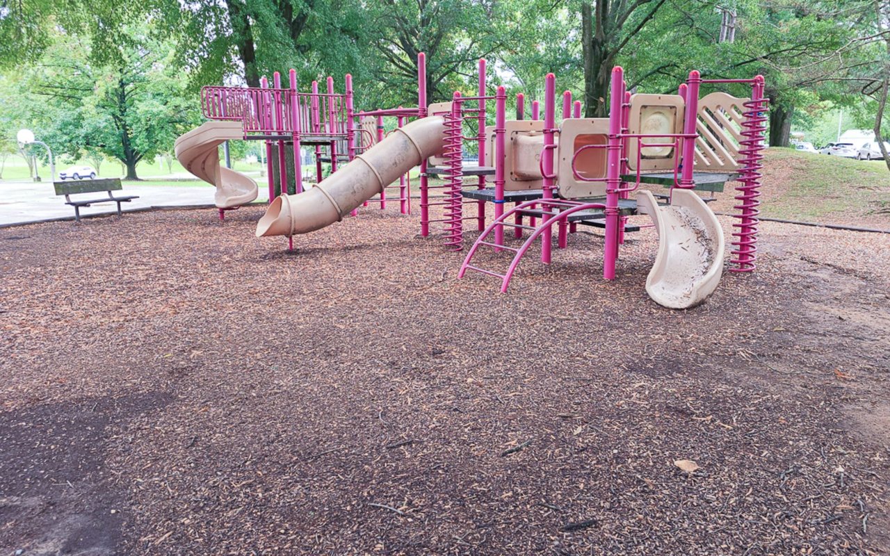 Best Parks in Maryland for Dog Lovers: Exploring Olney Manor Recreational Park