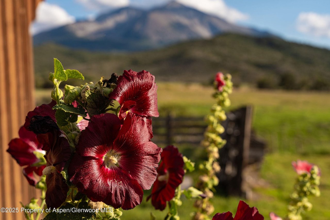 1644 Prince Creek Road