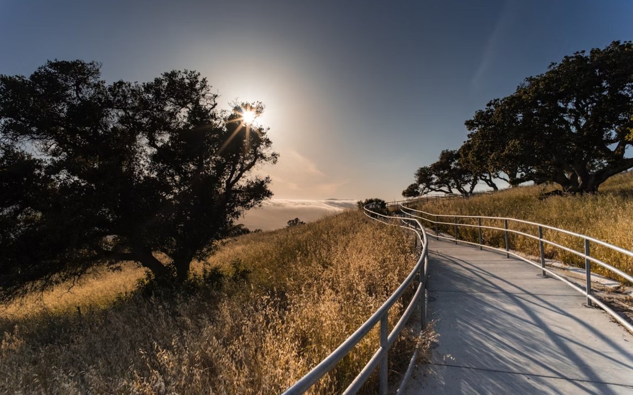 Top Things to Do in Palo Alto