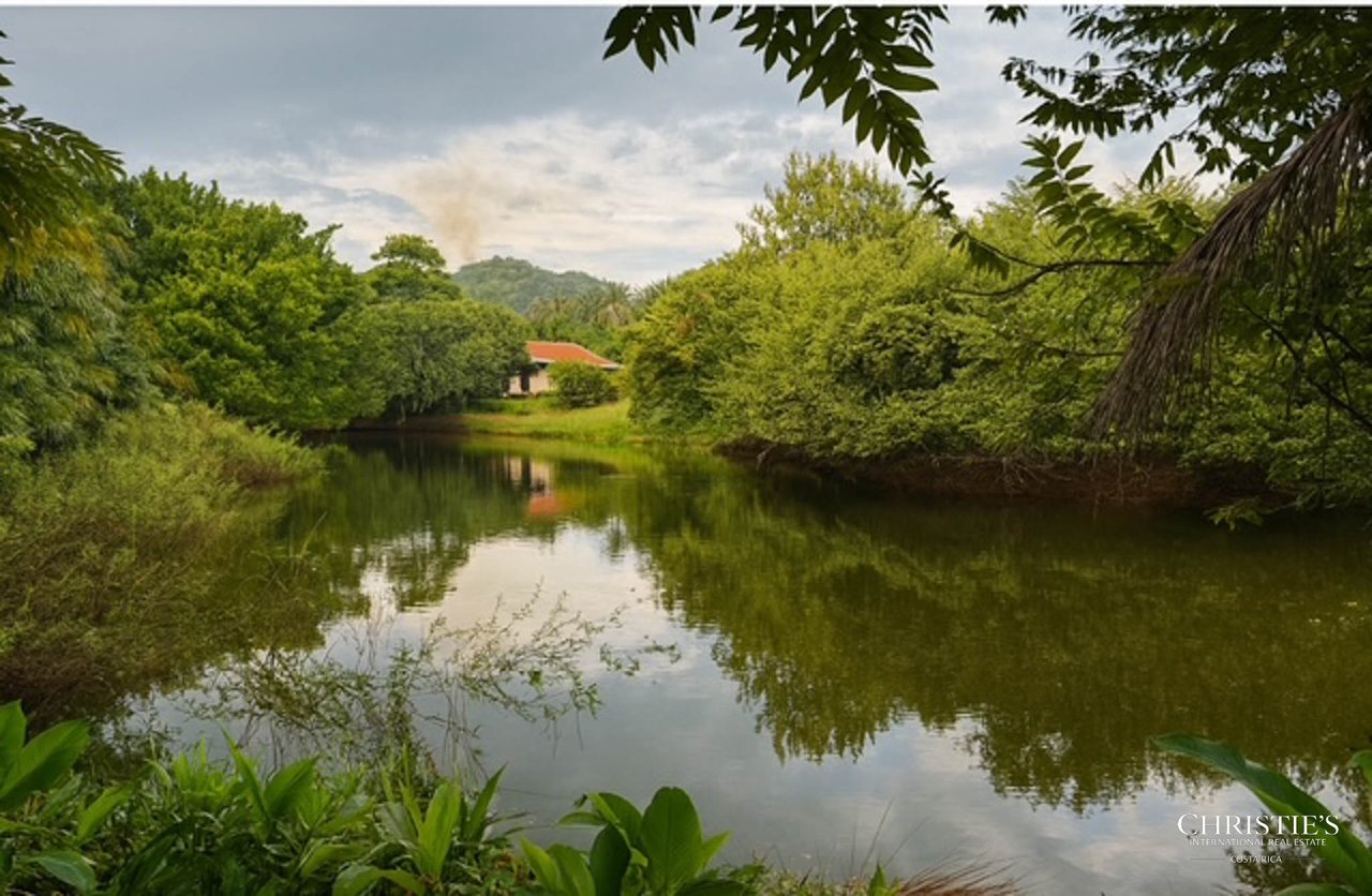 Tambor Cottage on the Pond