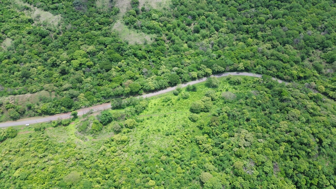 MAIN ROAD PARCEL - COYOLITO 