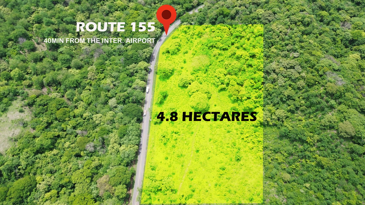 MAIN ROAD PARCEL - COYOLITO 